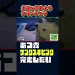 永久をさまようタランチュラ【あつ森】