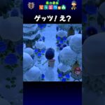 【あつ森】ゲッツ！え？