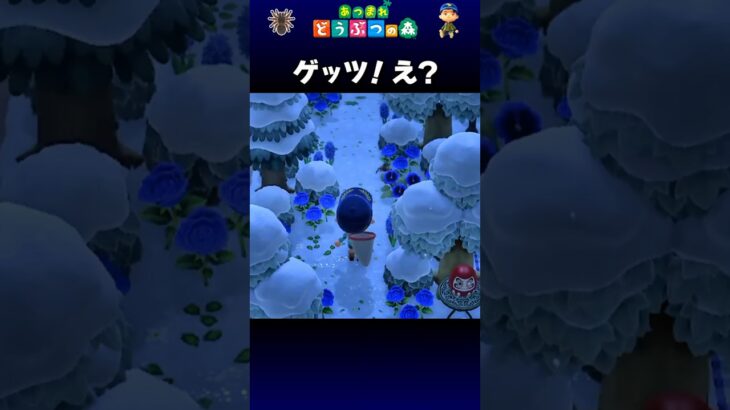 【あつ森】ゲッツ！え？