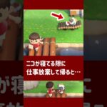 【あつ森】ニコが寝てる隙に仕事放棄して帰ると……【小ネタ】【あつまれ どうぶつの森】#あつ森 #あつまれどうぶつの森