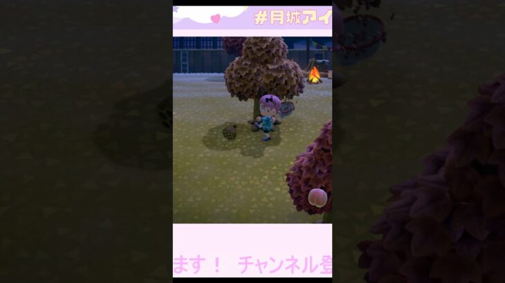 油断して余裕でとれると思ったら… #あつ森 #あつまれどうぶつの森 #ゲーム実況