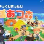 【あつ森】現実世界は大寒波