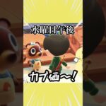 【あつ森】カブに全財産を投資して大儲けしてみた結果#タツログ #あつ森 #あつまれどうぶつの森