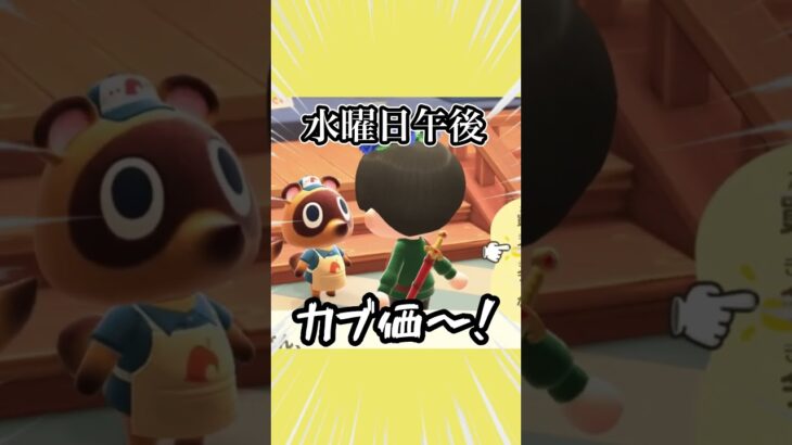 【あつ森】カブに全財産を投資して大儲けしてみた結果#タツログ #あつ森 #あつまれどうぶつの森