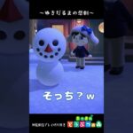 【初見あつ森配信】雪だるまの悲劇