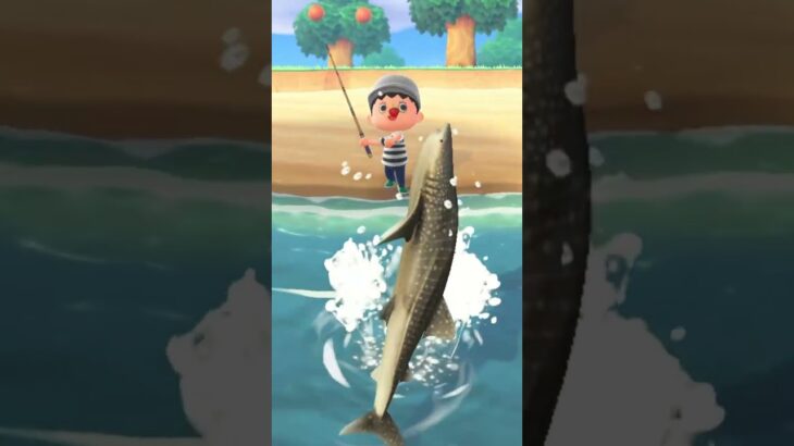 あつ森　ジンベエザメを釣り上げた。
