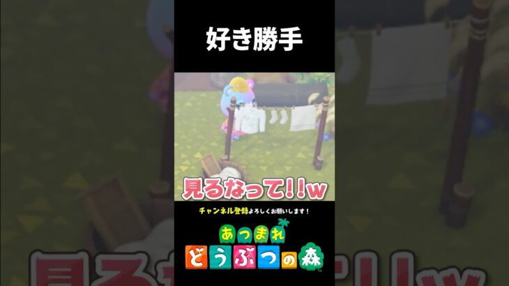 【あつ森】好き勝手やる奴ら