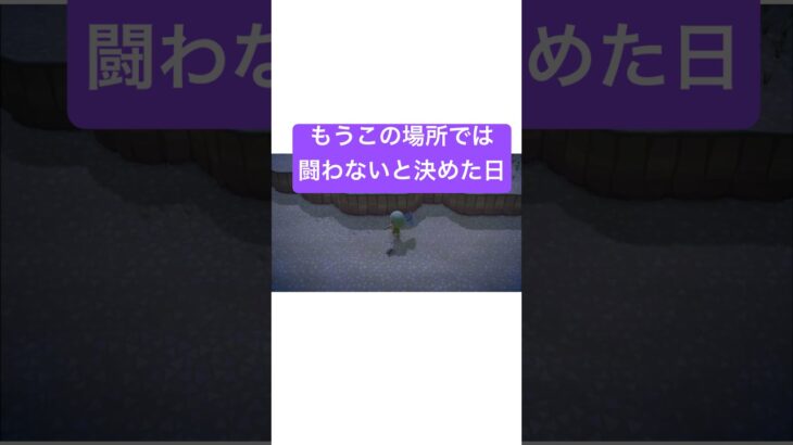 【 あつ森 】死角から襲いかかる敵