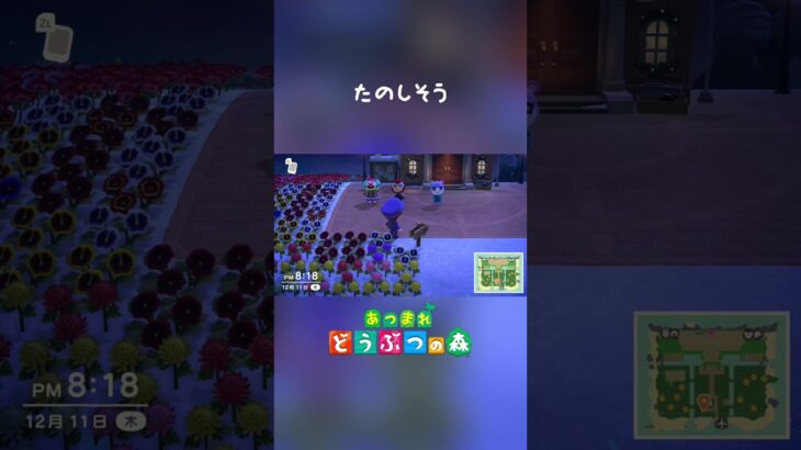 アプデくるらしい#あつまれどうぶつの森 #あつ森
