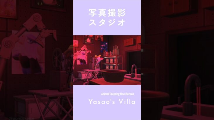 【ハピパラ】そのきらめきを収めて【あつ森】