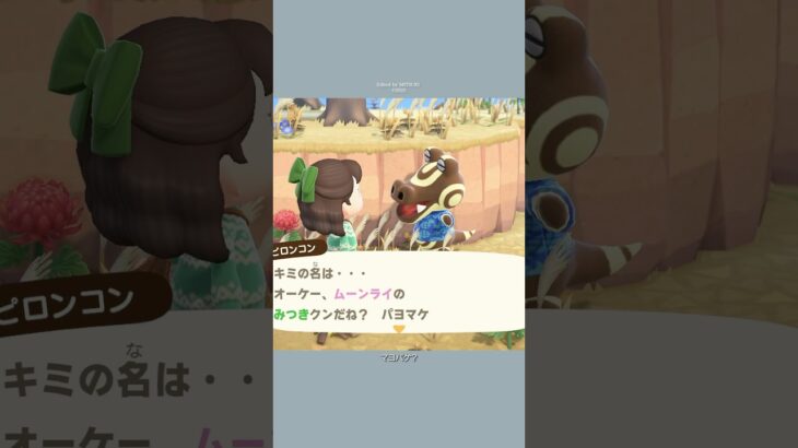 ワニだらけの離島ガチャ | あつ森