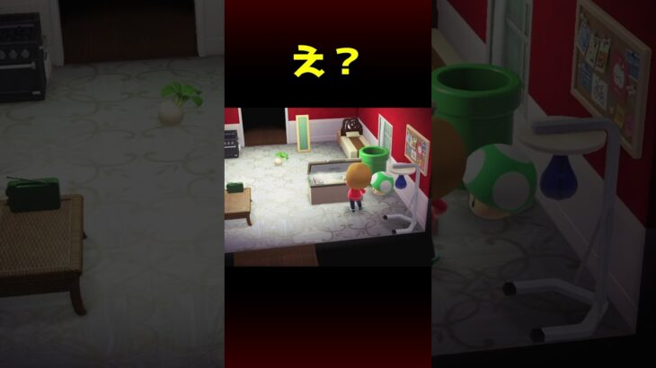 あつ森の冷凍庫がヤバすぎた