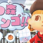 あつ森でビンゴゲームをやってみたら〇〇に大苦戦したｗ【あつまれどうぶつの森】