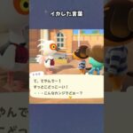 【あつ森】すっとこどっこい！？ #あつ森  #あつまれどうぶつの森  #女性ゲーム実況