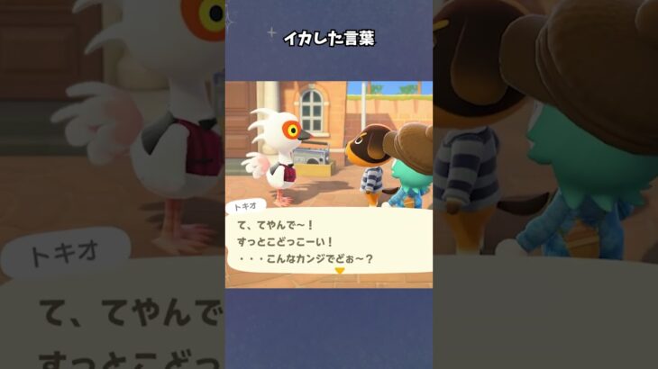 【あつ森】すっとこどっこい！？ #あつ森  #あつまれどうぶつの森  #女性ゲーム実況