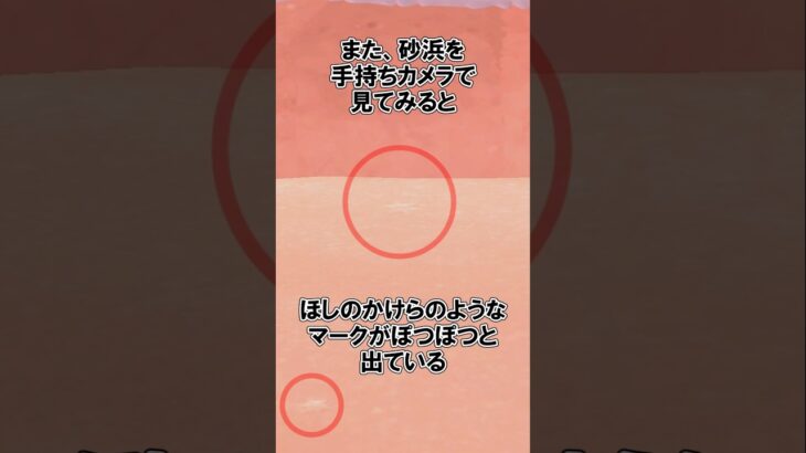 地面の細かい小ネタ@ほのげ【あつ森】