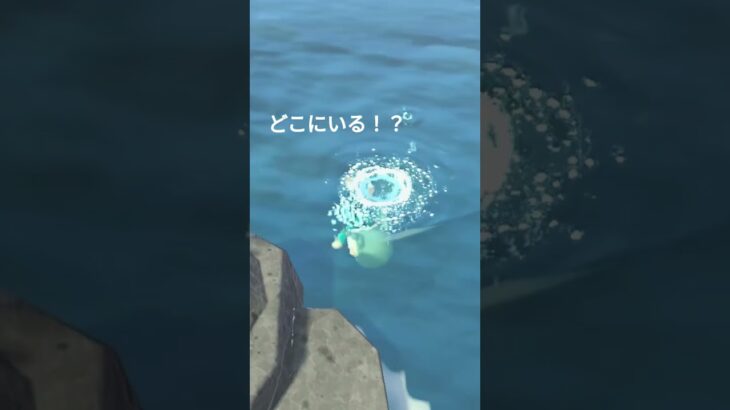 あつまれどうぶつの森のバグ？