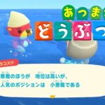 【あつ森】朝のあつ森チル配信　いつものルーティーンでまったりするぞ～