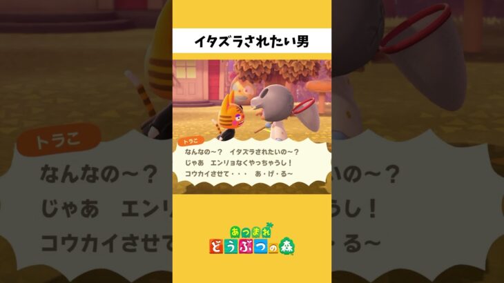 【あつ森】ハロウィンでイタズラされたい男