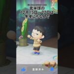 年末限定タヌキショッピングのアイテム！@ほのげ【あつ森】