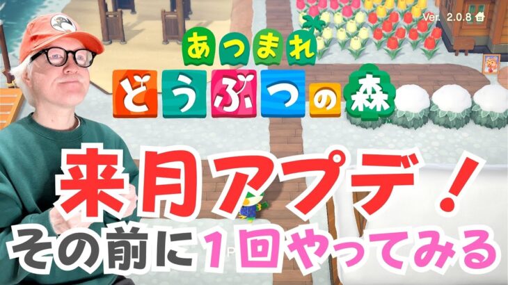【 #あつ森 】アプデ１ヶ月前に…とりあえず現状を見ておこう