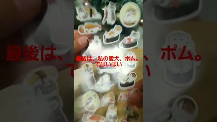 よろしくワン🐶 #あつまれどうぶつの森 #あつ森