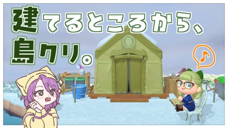 【☕🍃月曜夜のまったりあつ森】洋風な大規模ガーデン付き博物館を作りたくなってしまいました😣