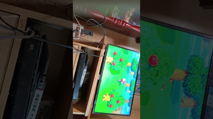 【あつ森】散歩して、何を作ります#任天堂スイッチ