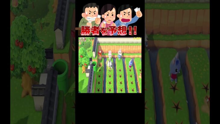 住民に優しくないイースターイベント 😳🐣#あつ森 #落とし穴レース