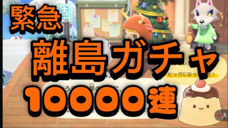 【あつ森】#１　  緊急　初めての離島ガチャ！１００００連　ハムスケこいぷ！
