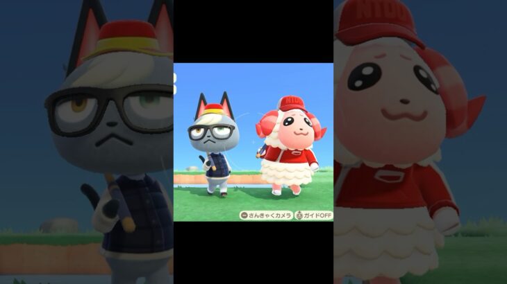 【あつ森】私の島の名コンビはこちら  #あつ森 #あつ森ちゃちゃまる #あつ森ジャック
