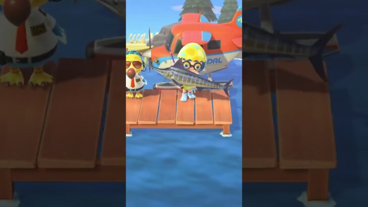 【あつ森】初心者がカジキを吊りお魚コンプリートしました！