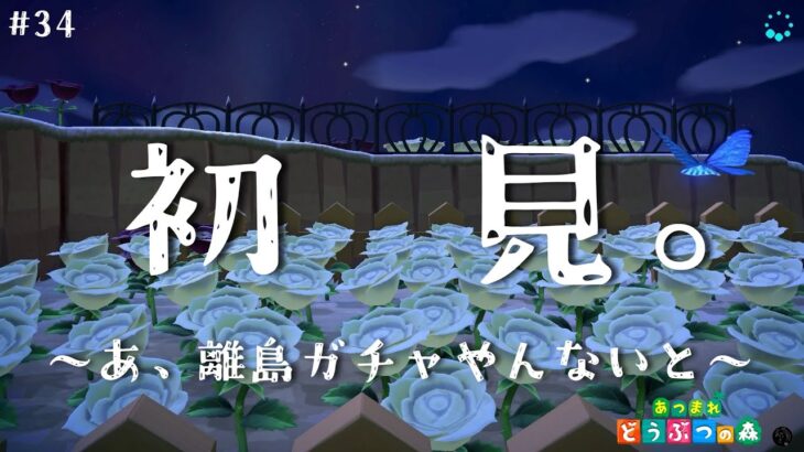 【あつ森初見ライブ配信】離島ガチャとお風呂とチル「初見さんこんばんわ～