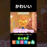 【あつ森】可愛すぎて狂うやばい人