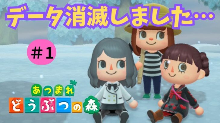 【あつ森/参加型？】データ消滅からの島再スタート！寂しいので気軽に遊びに来てね！