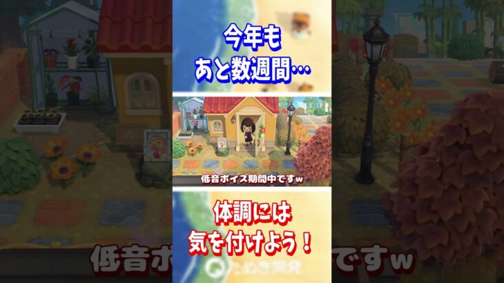 【あつ森】体調には 気を付けよう💊