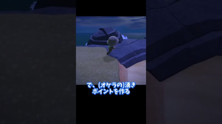 タランチュラをたくさん捕まえる方法はコレ？【あつ森】