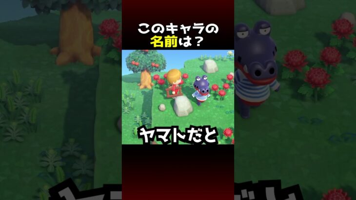 【あつ森】初見なのに見た目だけでわかってしまった西田