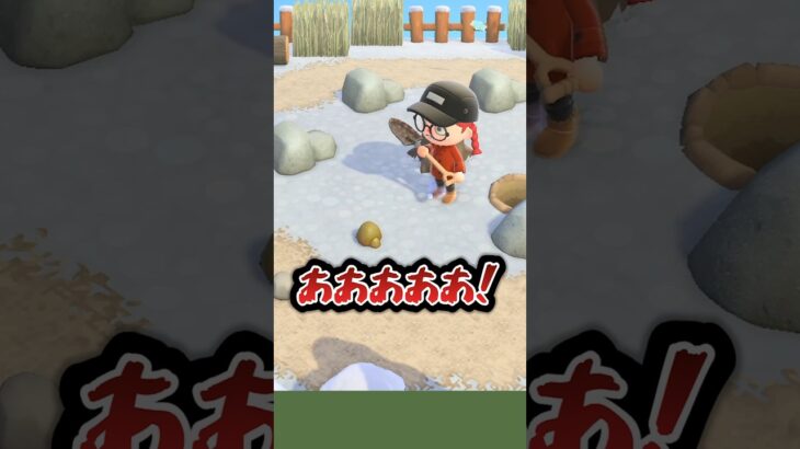 【#あつ森 】これが大雑把代表の岩固定島クリエイトだ🪨#あつまれどうぶつの森 #どうぶつの森 #