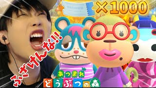 【あつ森】全く上手くいかない住民厳選!!