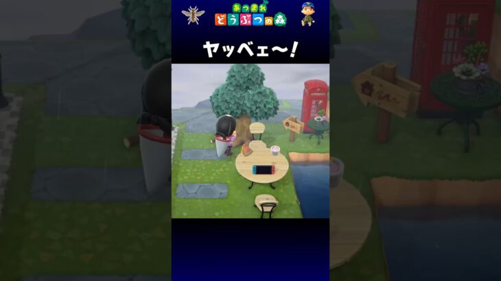 【あつ森】ヤッベェ～！