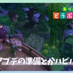 【あつ森】のんびりと島開放したりアプデの準備したり　【あつまれどうぶつの森／ライブ】