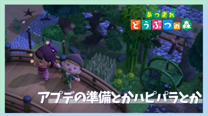 【あつ森】のんびりと島開放したりアプデの準備したり　【あつまれどうぶつの森／ライブ】