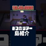 引越し初日のきったねぇ部屋【あつ森】