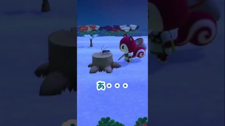 【あつ森】グミちゃんがんばれ！ #あつ森 #あつ森日記 #あつまれどうぶつの森