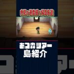 コイツ内見の速度で帰るやん…【あつ森】