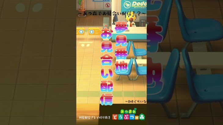 【あつ森】まさかの夢見番地でお見合い？？