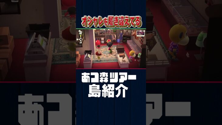 オシャレを履き違えるな【あつ森】