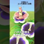 【あつ森】ムシ図鑑│ハナカマキリ🌼