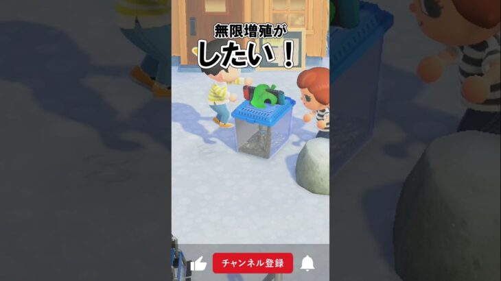 ♾️無限増殖がしたい！📦✨@ほのげ【あつ森】